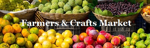 fruits-market-colors2